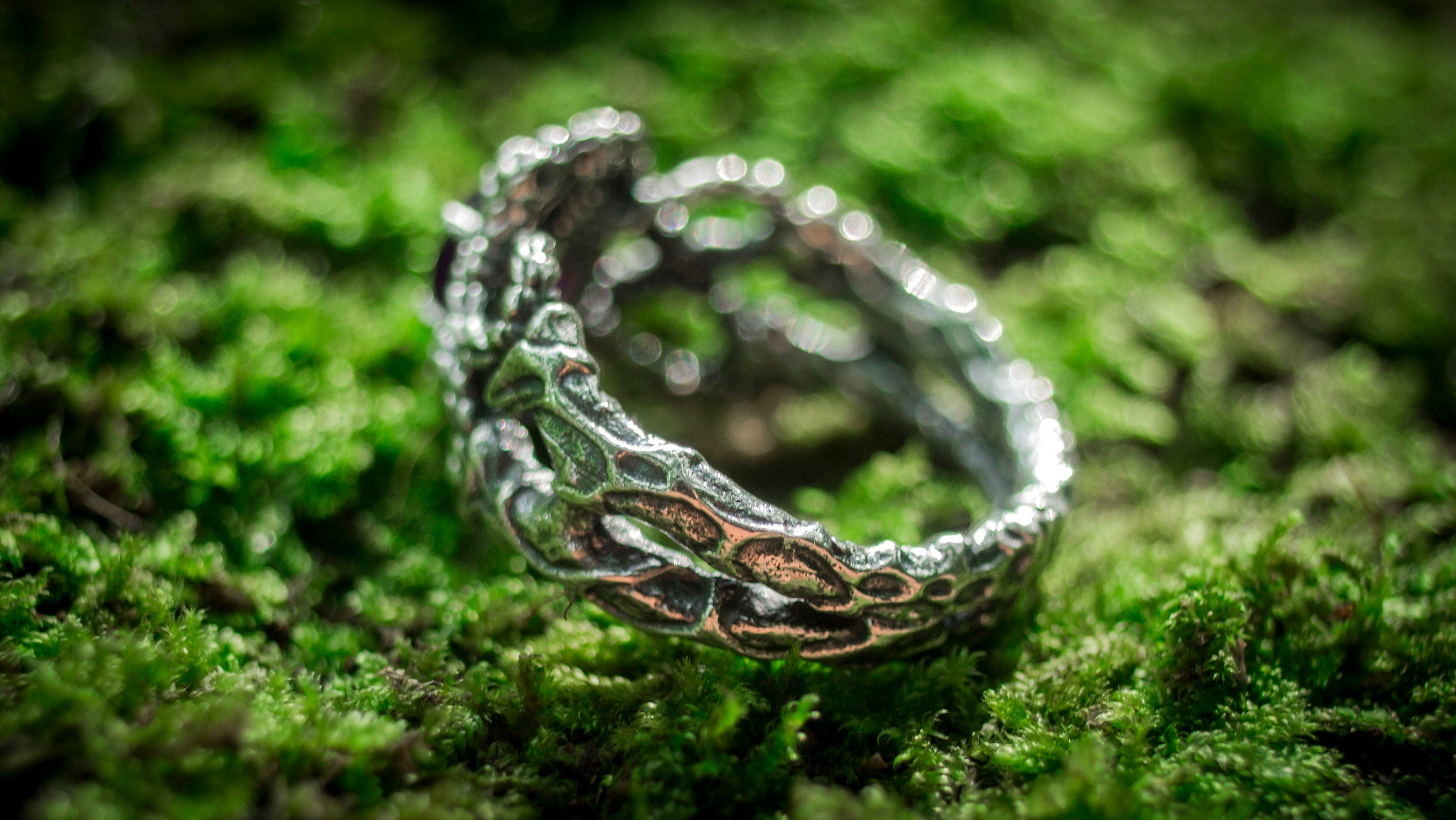 Silver Snakes Ring