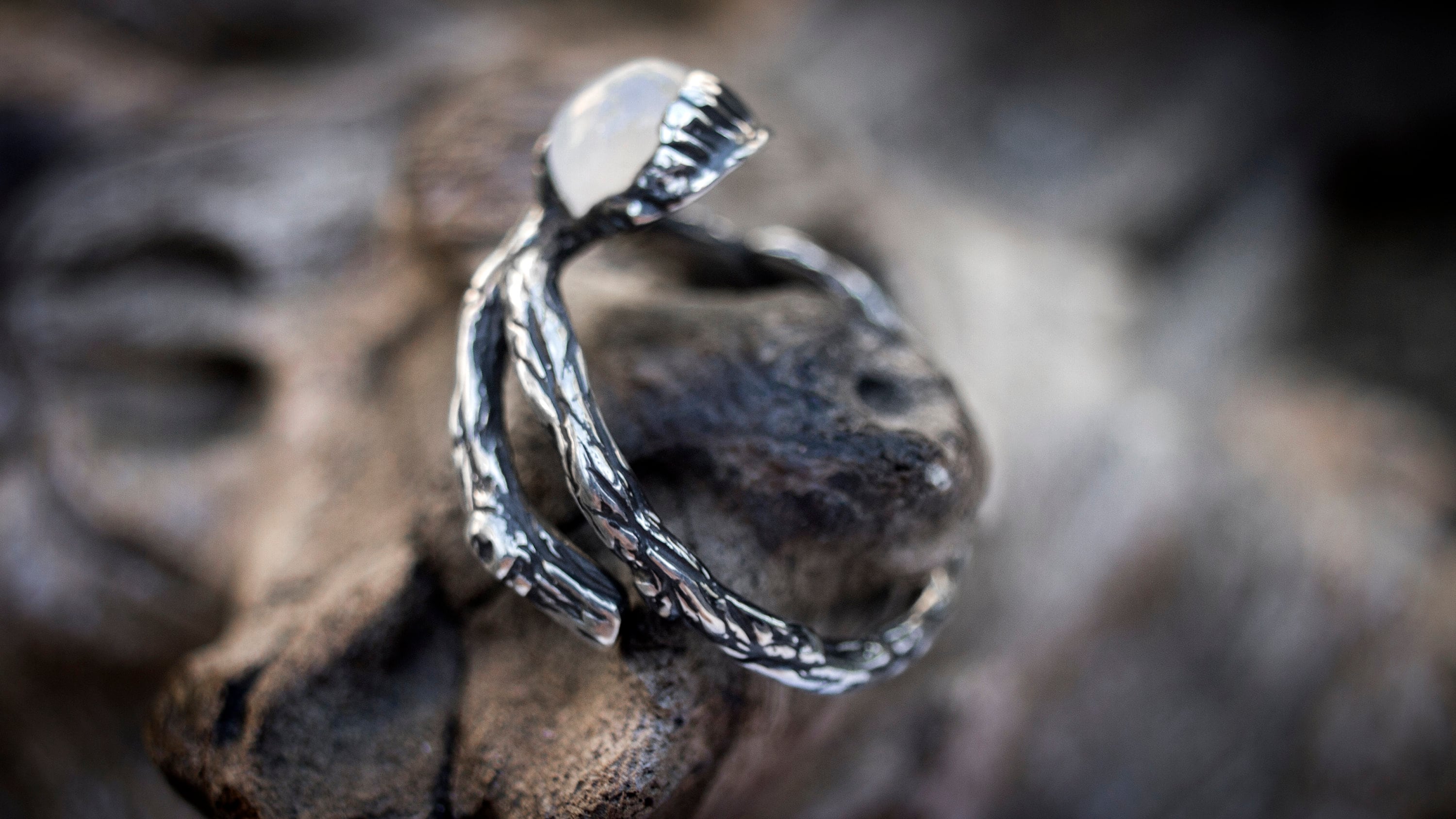 Nature-inspired silver engagement ring with branch band