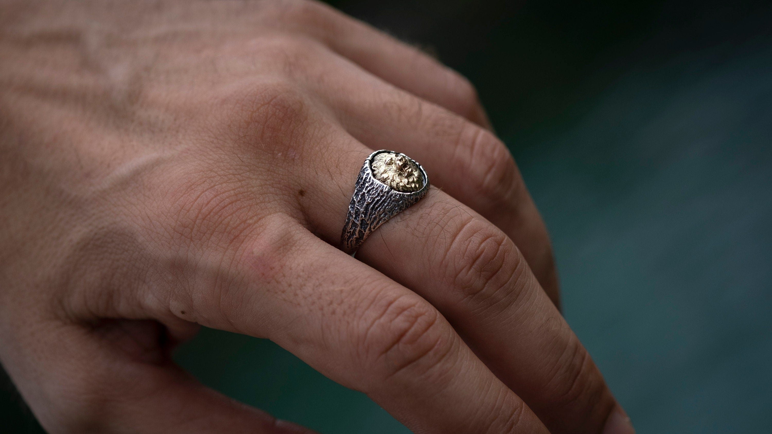 14K Gold Lion Head Ring | Gold Signet Ring | 14K Gold Men Ring | Gold Lion Ring | Gold Lion Men Ring | Gold Animal Ring