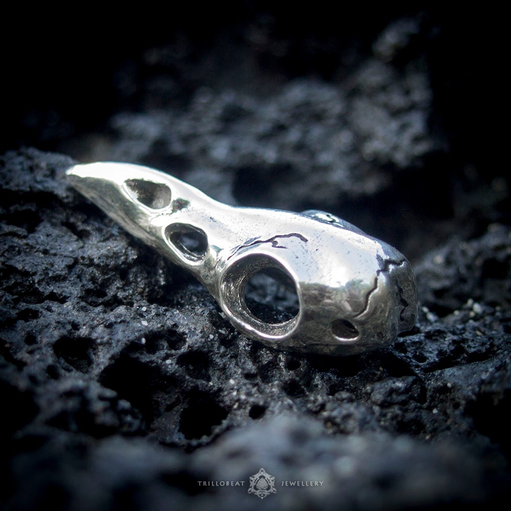 Raven Skull Necklace